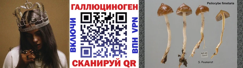Псилоцибиновые грибы MAGIC MUSHROOMS Сарапул