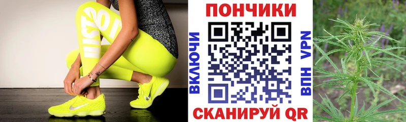 наркота  Сарапул  Шишки марихуана планчик 